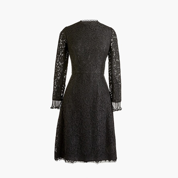 NWT J. Crew Long-sleeve Lace Dress - Picture 4 of 7